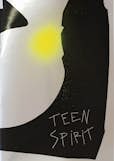 Couverture Catalogue Teen Spirit Vincen Beeckman