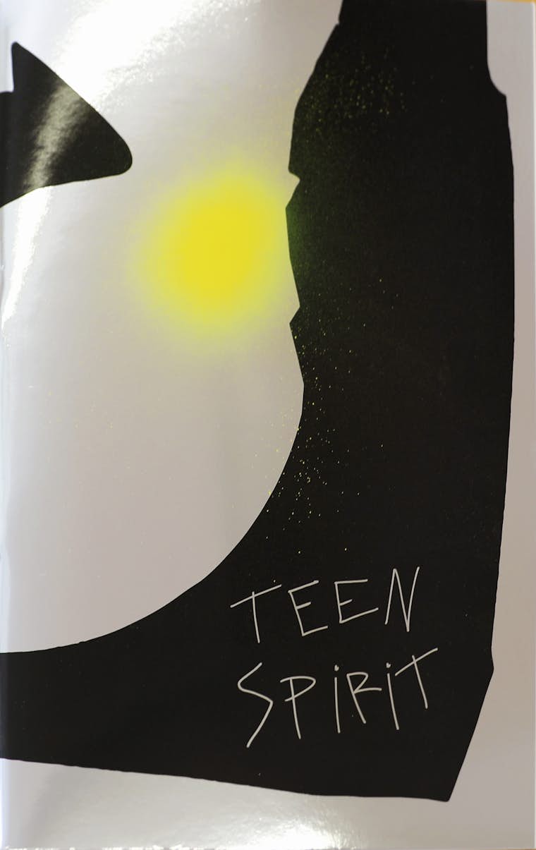 Couverture Catalogue Teen Spirit Vincen Beeckman